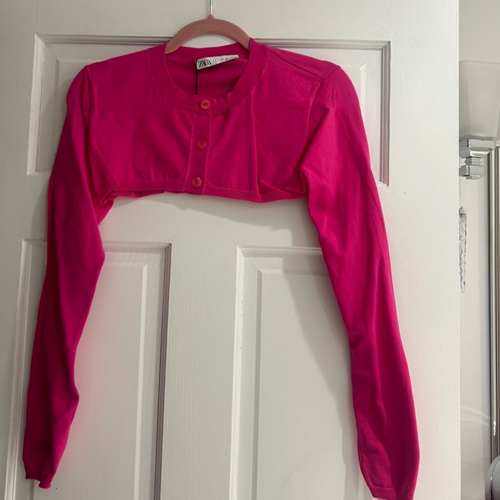 Pink Cropped Zara Top
